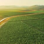 Farmland For Sale In Narayankhed