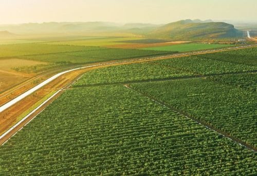 Farmland For Sale In Narayankhed